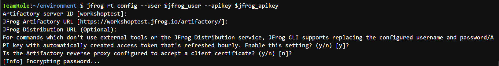 JFrog CLI Config