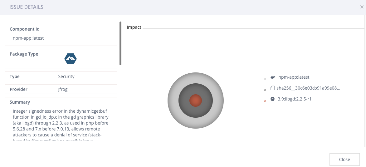 Npm Build Xray Detail