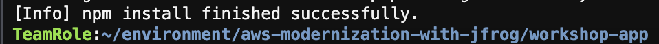 NPM Install